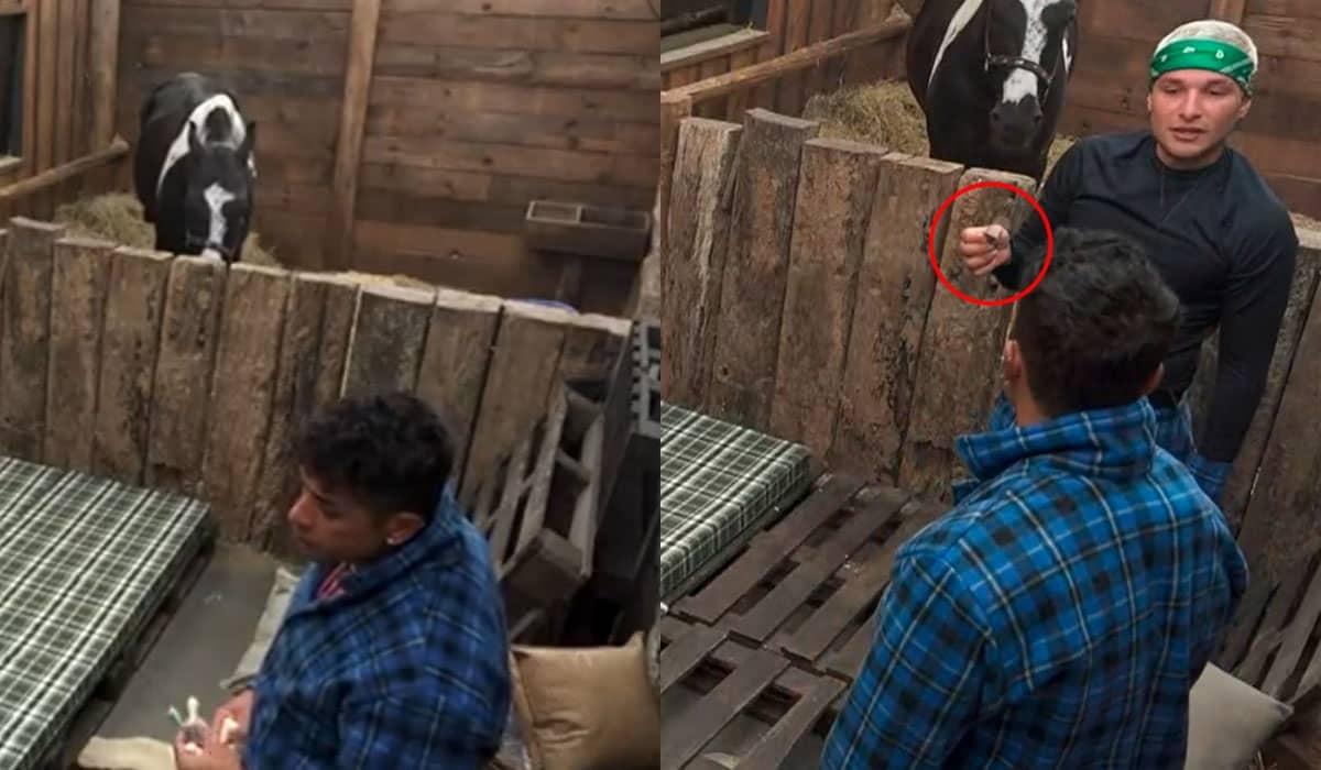 A Fazenda 13: MC Gui e Tiago encontram camisinha na baia