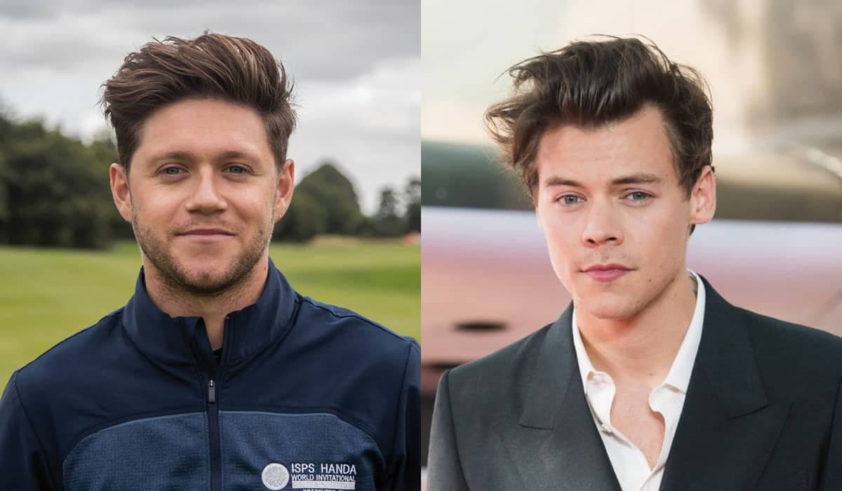Harry Styles e Niall Horan estavam juntos? Foto intriga fãs na web