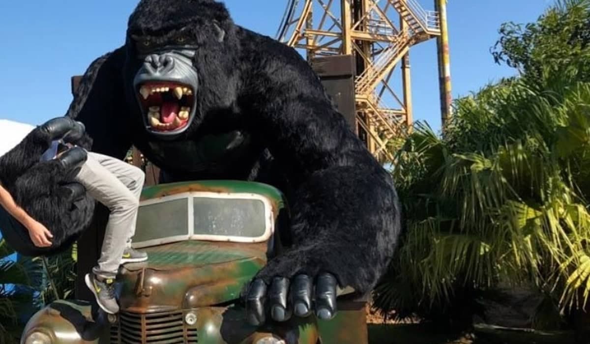 Acidente no Beto Carrero: Menino de 6 anos está em estado grave após cair de estátua de Gorila