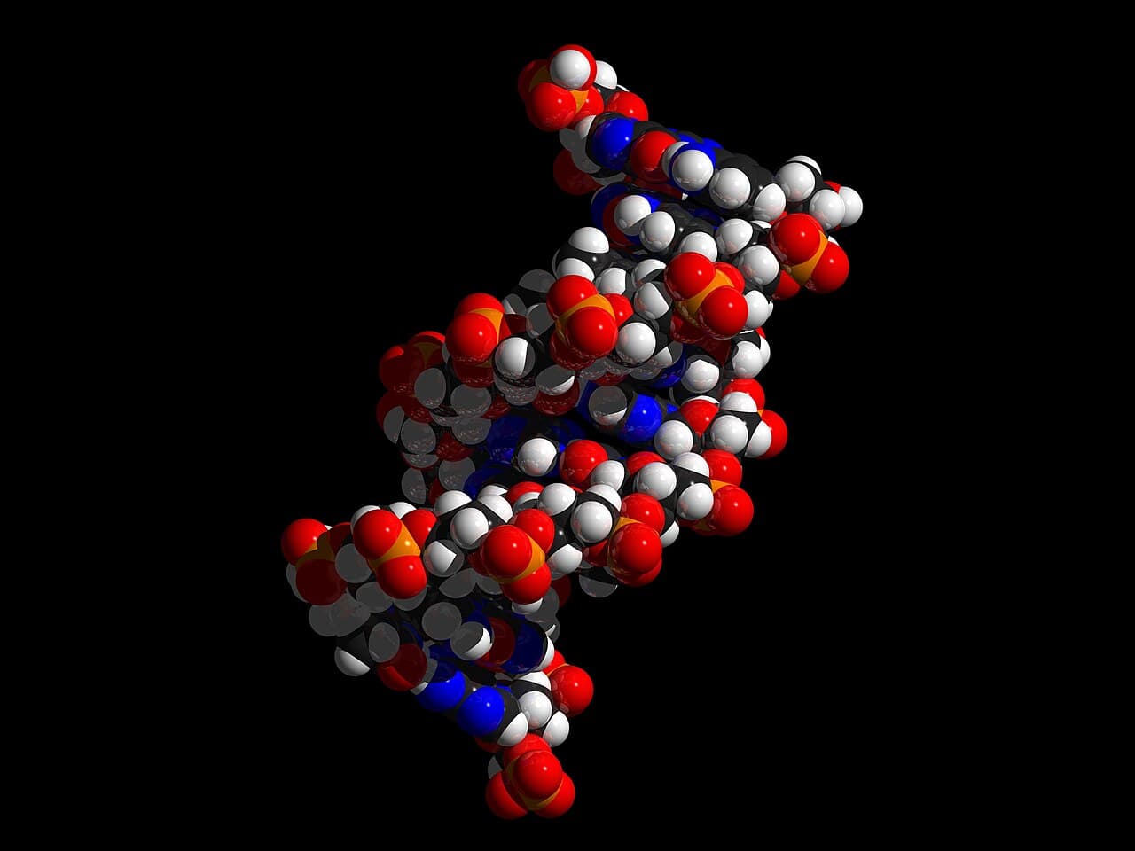 Google DeepMind lança AlphaGenome Atlas, mapa de IA com 9 bilhões de mutações possíveis no DNA humano
