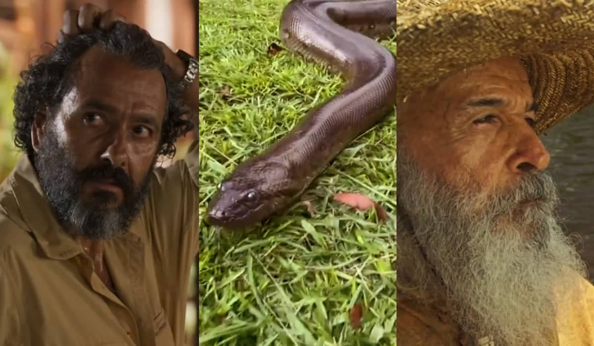 Sucuri navega em canoa e intriga José Leôncio em Pantanal