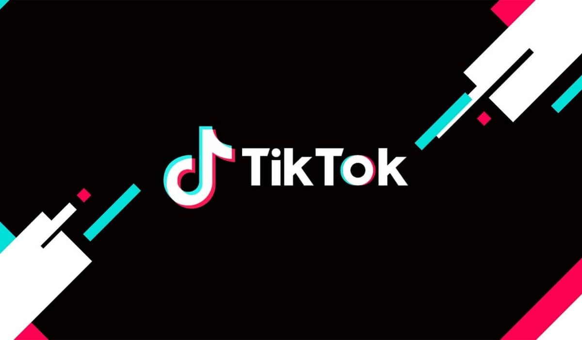 TikTok recebe multa milionária na França por mau uso de cookies