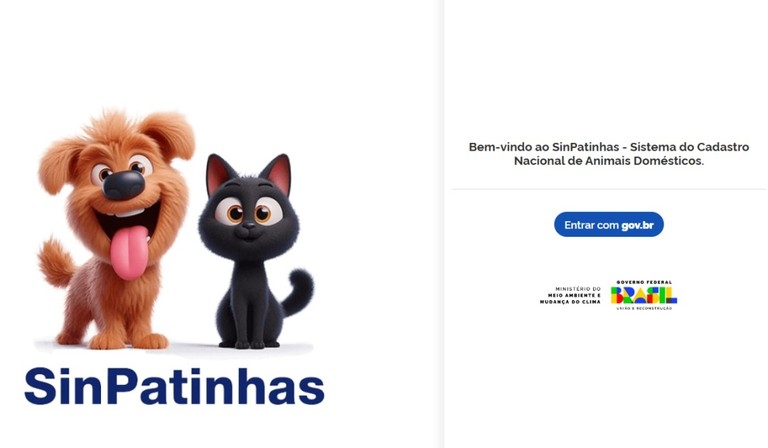Governo lança RG Animal para pets: saiba como funciona o novo cadastro nacional