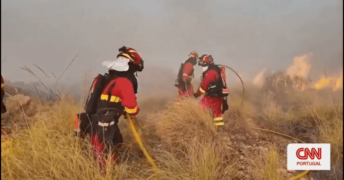 Tragédia em Almería: Incêndio florestal deixa ao menos 11 mortos na Espanha