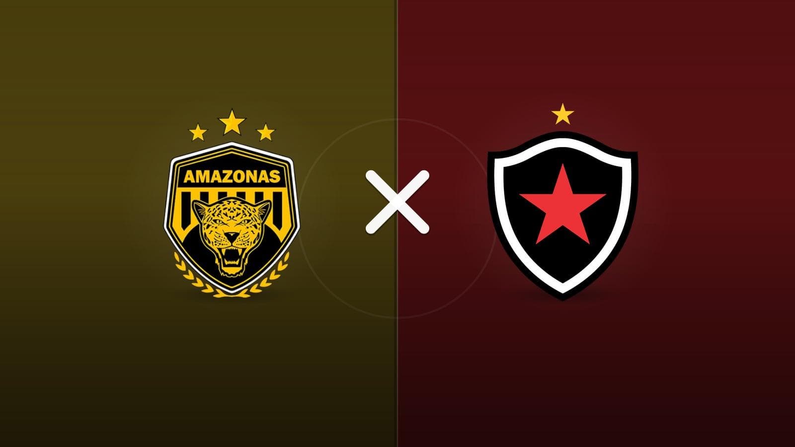 Amazonas x Botafogo PB jogam hoje às 17h00 pela Serie C. Foto: Diário 24 Horas / Montagem