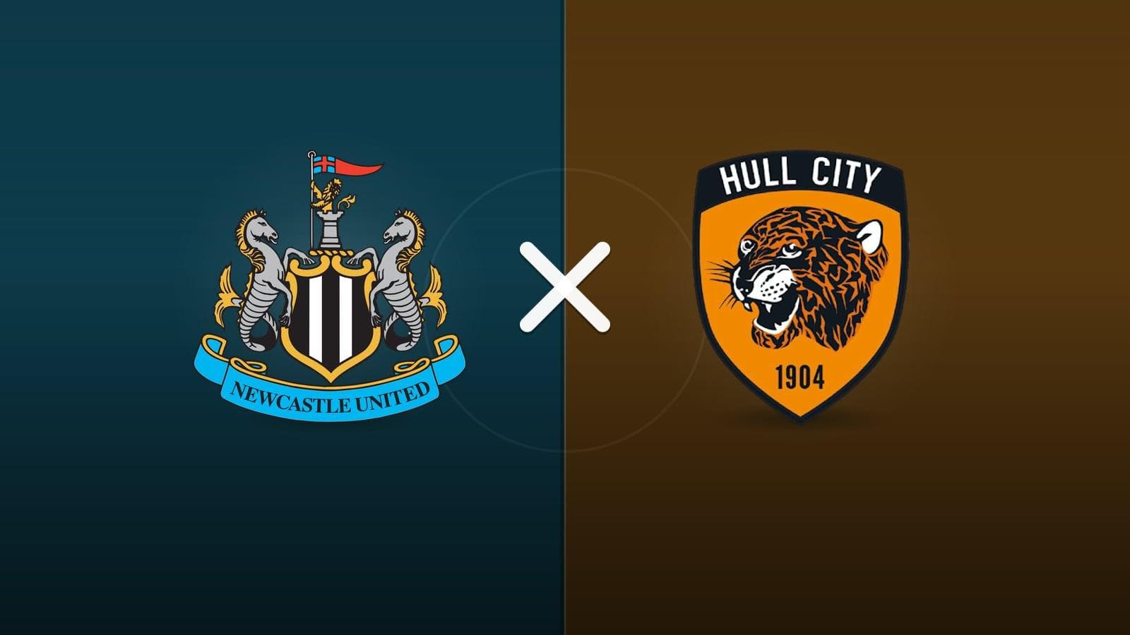 Newcastle x Hull City jogam hoje às 11h00 pela Premier League. Foto: Diário 24 Horas / Montagem